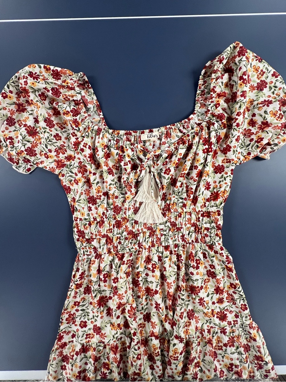 Blush Floral Puff-Sleeve Smocked Dress - Red, Green & Cream